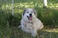 processed/ff9527b8-1a3a-4d83-b0ea-e34cefaf6892/facility/6dbadfd4-6ae5-49a1-8e25-252fe10af13f