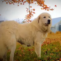 processed/ff9527b8-1a3a-4d83-b0ea-e34cefaf6892/facility/d9d88074-dd4f-4853-b2e8-3f291833a570