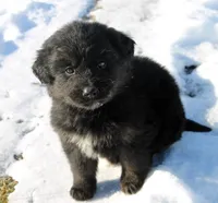 processed/ff9527b8-1a3a-4d83-b0ea-e34cefaf6892/listing/3a722b59-b32e-403c-bdb1-67b72abe72f2/122ce184-c985-4501-a63d-4196eb336e6e