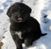 processed/ff9527b8-1a3a-4d83-b0ea-e34cefaf6892/listing/3a722b59-b32e-403c-bdb1-67b72abe72f2/541687af-a787-4af3-855c-3258cec36596