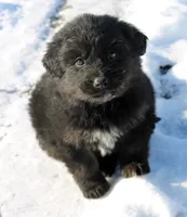 processed/ff9527b8-1a3a-4d83-b0ea-e34cefaf6892/listing/3a722b59-b32e-403c-bdb1-67b72abe72f2/b253c61e-5d1d-44e7-bda5-ae4f9bdd6a33