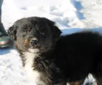 processed/ff9527b8-1a3a-4d83-b0ea-e34cefaf6892/listing/eda5b944-87d7-476a-97db-39fc9f062a77/3d03d6c3-b202-422d-a14e-3134d7372f5a