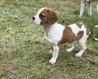 processed/ff9ce6fa-76a1-46c7-b419-6e3682bac294/listing/066e674f-f260-46c7-863d-9e7408133fcf/0e5735c7-c870-4d0e-9002-0a2878485a9b