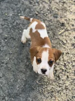 processed/ff9ce6fa-76a1-46c7-b419-6e3682bac294/listing/066e674f-f260-46c7-863d-9e7408133fcf/43e47109-a479-4bb7-ae59-e01c40f036ca