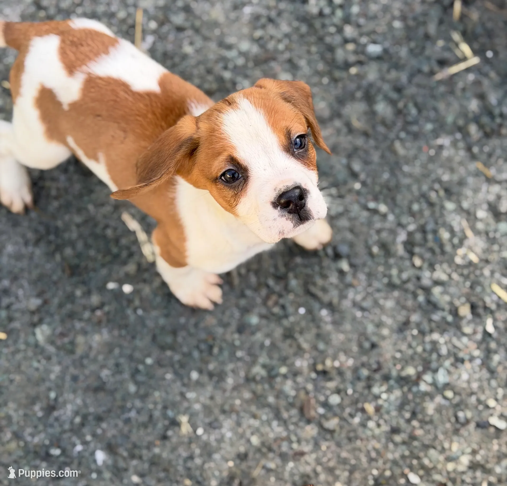 processed/ff9ce6fa-76a1-46c7-b419-6e3682bac294/listing/066e674f-f260-46c7-863d-9e7408133fcf/67c138f0-48bd-4aed-91f0-ab9e6bb5a86a