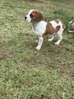 processed/ff9ce6fa-76a1-46c7-b419-6e3682bac294/listing/066e674f-f260-46c7-863d-9e7408133fcf/93d7178d-fa1f-4473-8078-2a5daed001ee