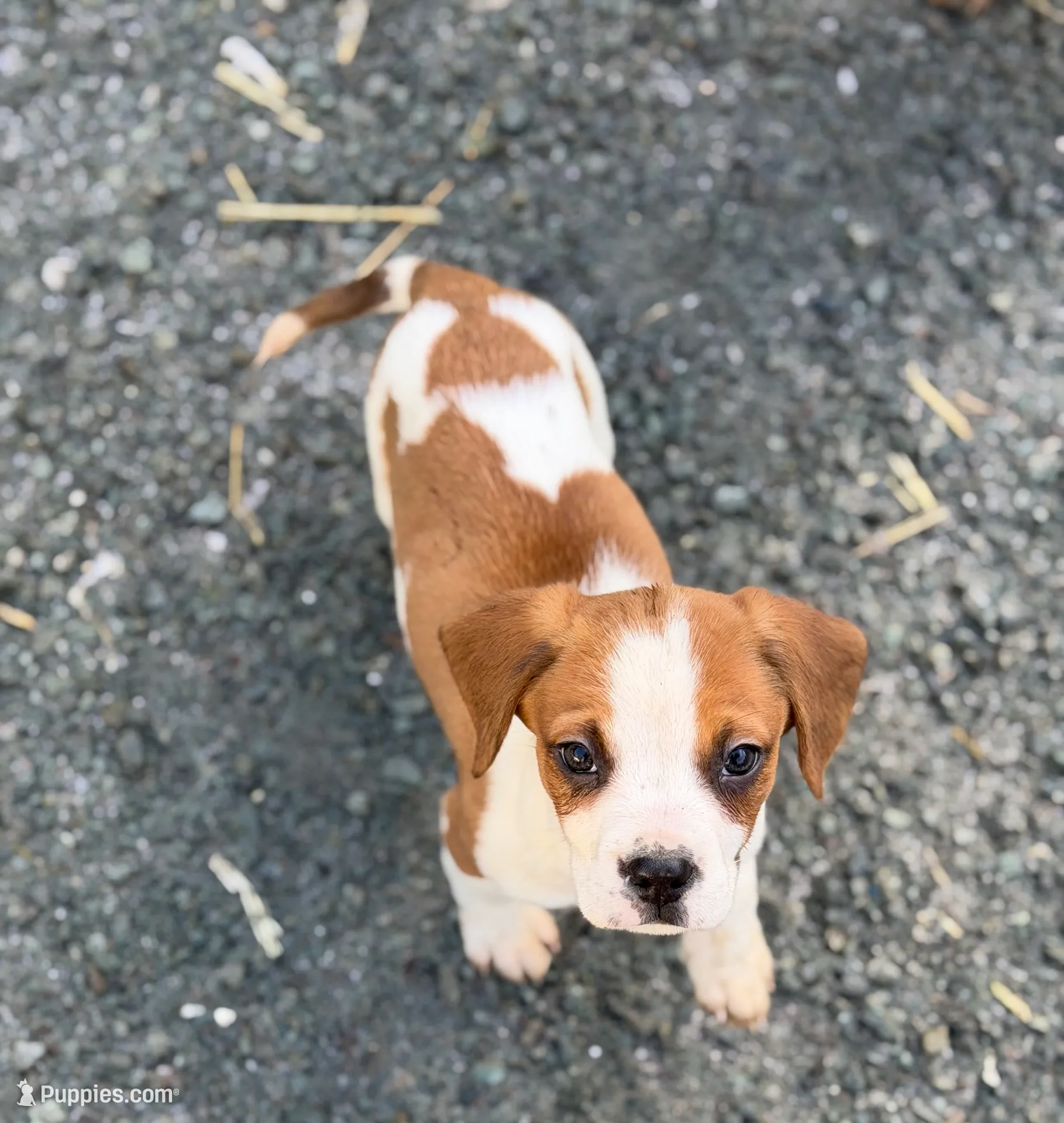 processed/ff9ce6fa-76a1-46c7-b419-6e3682bac294/listing/066e674f-f260-46c7-863d-9e7408133fcf/f9ae003f-34e9-48fb-9cea-1dbb28c95a30