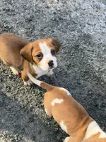 processed/ff9ce6fa-76a1-46c7-b419-6e3682bac294/listing/a33a545f-7748-4c52-89a1-4b35746add7d/63381147-33a7-4fc6-8eef-64dd144e3232