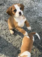 processed/ff9ce6fa-76a1-46c7-b419-6e3682bac294/listing/a33a545f-7748-4c52-89a1-4b35746add7d/d75222fb-87ad-43a2-bfff-9ba9df942608