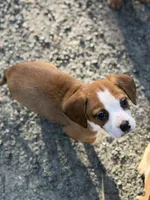 processed/ff9ce6fa-76a1-46c7-b419-6e3682bac294/listing/a33a545f-7748-4c52-89a1-4b35746add7d/e490ca00-75af-4320-bbbc-caf16bd54b4b