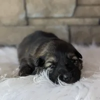 processed/ff9f987f-4616-4293-88b5-285a06524c75/facility/1d777b5d-cd53-4d96-8697-90f1fa495523