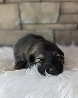 processed/ff9f987f-4616-4293-88b5-285a06524c75/facility/1d777b5d-cd53-4d96-8697-90f1fa495523