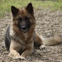 processed/ff9f987f-4616-4293-88b5-285a06524c75/facility/24b29c0e-d9b3-4fe8-be23-ce35d9acf53f