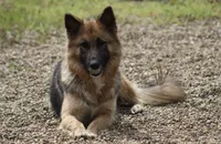 processed/ff9f987f-4616-4293-88b5-285a06524c75/facility/24b29c0e-d9b3-4fe8-be23-ce35d9acf53f