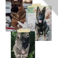 processed/ff9f987f-4616-4293-88b5-285a06524c75/facility/5e4145c3-f0e2-4ef8-bc22-743b421eeddd