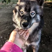 processed/ff9f987f-4616-4293-88b5-285a06524c75/facility/6038dbdf-786b-45c3-bd8b-c311143d96c9