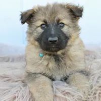 processed/ff9f987f-4616-4293-88b5-285a06524c75/facility/92b7d923-dbba-4990-8b1f-c5a9f58e1760