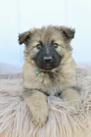 processed/ff9f987f-4616-4293-88b5-285a06524c75/facility/92b7d923-dbba-4990-8b1f-c5a9f58e1760