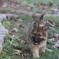 processed/ff9f987f-4616-4293-88b5-285a06524c75/facility/937b6095-ef6c-4852-84df-6f00cb22a3a1