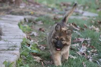 processed/ff9f987f-4616-4293-88b5-285a06524c75/facility/937b6095-ef6c-4852-84df-6f00cb22a3a1