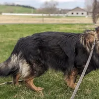 processed/ff9f987f-4616-4293-88b5-285a06524c75/facility/95cd256b-b620-4fc2-acf1-46f351402fa3