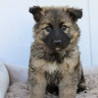 processed/ff9f987f-4616-4293-88b5-285a06524c75/facility/a3edaea6-f18e-473d-996b-b697beaef9f5