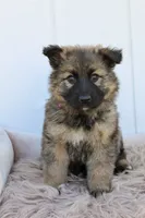 processed/ff9f987f-4616-4293-88b5-285a06524c75/facility/a3edaea6-f18e-473d-996b-b697beaef9f5