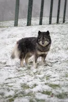 processed/ff9f987f-4616-4293-88b5-285a06524c75/listing/23033a5c-e0af-4be1-82d2-135b2b1f8c21/2195321d-7499-4f4d-ae57-f409e075fc3a