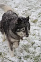 processed/ff9f987f-4616-4293-88b5-285a06524c75/listing/23033a5c-e0af-4be1-82d2-135b2b1f8c21/e4f0920b-1825-47dc-9a7f-df356e750873