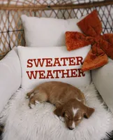 Maple , a female Beagle and Cocker Spaniel for sale in Scio, OH – 3 of 7