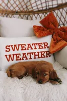 Opal , a female Beagle and Cocker Spaniel for sale in Scio, OH – 1 of 6