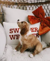 Noodles , a female Beagle and Cocker Spaniel for sale in Scio, OH – 3 of 7