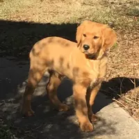 processed/ffc2fbb2-0882-42c5-bba1-a360d1dbfc03/facility/584eff46-8099-4111-94d9-42cc2b648762