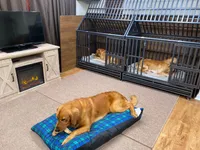 processed/ffc2fbb2-0882-42c5-bba1-a360d1dbfc03/facility/d15e809c-bbbc-494a-b092-fe67db19ff9d