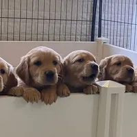 processed/ffc2fbb2-0882-42c5-bba1-a360d1dbfc03/facility/f429c7ba-cf4a-43dc-ae66-5df707577340