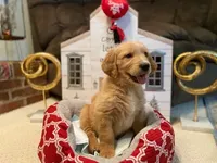 processed/ffc2fbb2-0882-42c5-bba1-a360d1dbfc03/listing/098b026c-a4fd-4ab1-a651-f02f913f3125/137d023e-d92f-48a6-8ead-b35e4beb5eb9