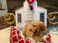 processed/ffc2fbb2-0882-42c5-bba1-a360d1dbfc03/listing/098b026c-a4fd-4ab1-a651-f02f913f3125/3d929154-cdd2-410e-8e18-24273bea47e7