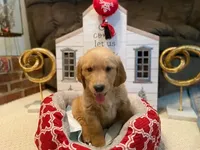 processed/ffc2fbb2-0882-42c5-bba1-a360d1dbfc03/listing/098b026c-a4fd-4ab1-a651-f02f913f3125/9b284aec-5de7-4093-87f4-9ef350c51861