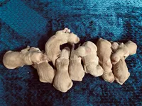 processed/ffc2fbb2-0882-42c5-bba1-a360d1dbfc03/listing/307a0b08-7827-4794-96a4-d1a175804c61/1c402187-05fd-4f3b-bce5-07b412a6ae7e