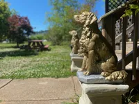 Golden AKC 3, a female Golden Retriever for sale in Sanford, NC – Photo 7 of 10