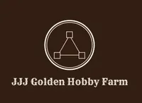 Purebred, AKC Golden, a female Golden Retriever for sale in Sanford, NC – Photo 8 of 10