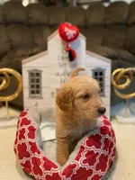 processed/ffc2fbb2-0882-42c5-bba1-a360d1dbfc03/listing/41f7ff36-d353-4565-9c0b-705d11d1019d/0c2511ba-cb0f-4c04-b9d2-2f01e1a3787d