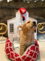 processed/ffc2fbb2-0882-42c5-bba1-a360d1dbfc03/listing/41f7ff36-d353-4565-9c0b-705d11d1019d/b3d0c976-7b53-44ed-b432-f423dfb72b0c