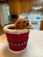 AKC Golden Retriever Pup 8, a female Golden Retriever for sale in Sanford, NC – Photo 1 of 10