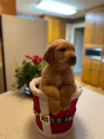 processed/ffc2fbb2-0882-42c5-bba1-a360d1dbfc03/listing/5e3b1fb8-a7f3-4cd8-b87d-839b9db4b6bd/e49161f6-477d-4d2b-b7b3-c8a65d46f98e