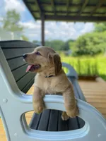 processed/ffc2fbb2-0882-42c5-bba1-a360d1dbfc03/listing/7e7b8b3a-2056-492d-ae73-9457063aab99/a96159cb-da34-45a2-8477-d9905000130a