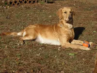 processed/ffc2fbb2-0882-42c5-bba1-a360d1dbfc03/listing/8202aa46-1353-4021-87b2-85bf8df0568c/d68fc992-fe10-478f-8fc1-058c72654d30