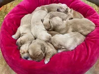 processed/ffc2fbb2-0882-42c5-bba1-a360d1dbfc03/listing/bc5fe354-243b-4a7d-b68d-39f513348d82/137e20e8-6e85-43ed-8c68-d5c00f2f39db