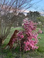 processed/ffc2fbb2-0882-42c5-bba1-a360d1dbfc03/listing/bc5fe354-243b-4a7d-b68d-39f513348d82/292a8b94-9c32-43c0-ab7c-5ccc33b79fd7