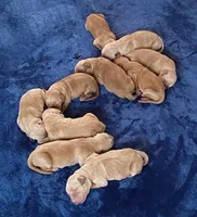 processed/ffc2fbb2-0882-42c5-bba1-a360d1dbfc03/listing/bc5fe354-243b-4a7d-b68d-39f513348d82/9027f9d9-5b78-4249-9e64-f5dfed9039db